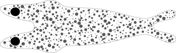 Pro 3D Shrimp Shell  ( pack 14)