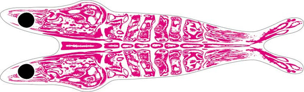 Pro 3D Shrimp Shell  ( pack 14)