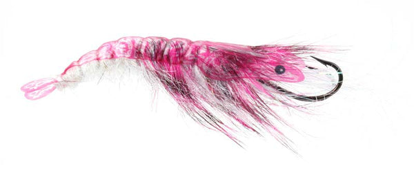 Pro 3D Shrimp Shell  ( pack 14)