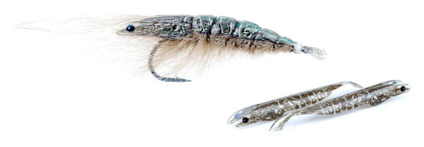 Pro 3D Shrimp Shell  ( pack 14)